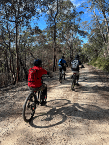 Three people riding bikes through a bush track